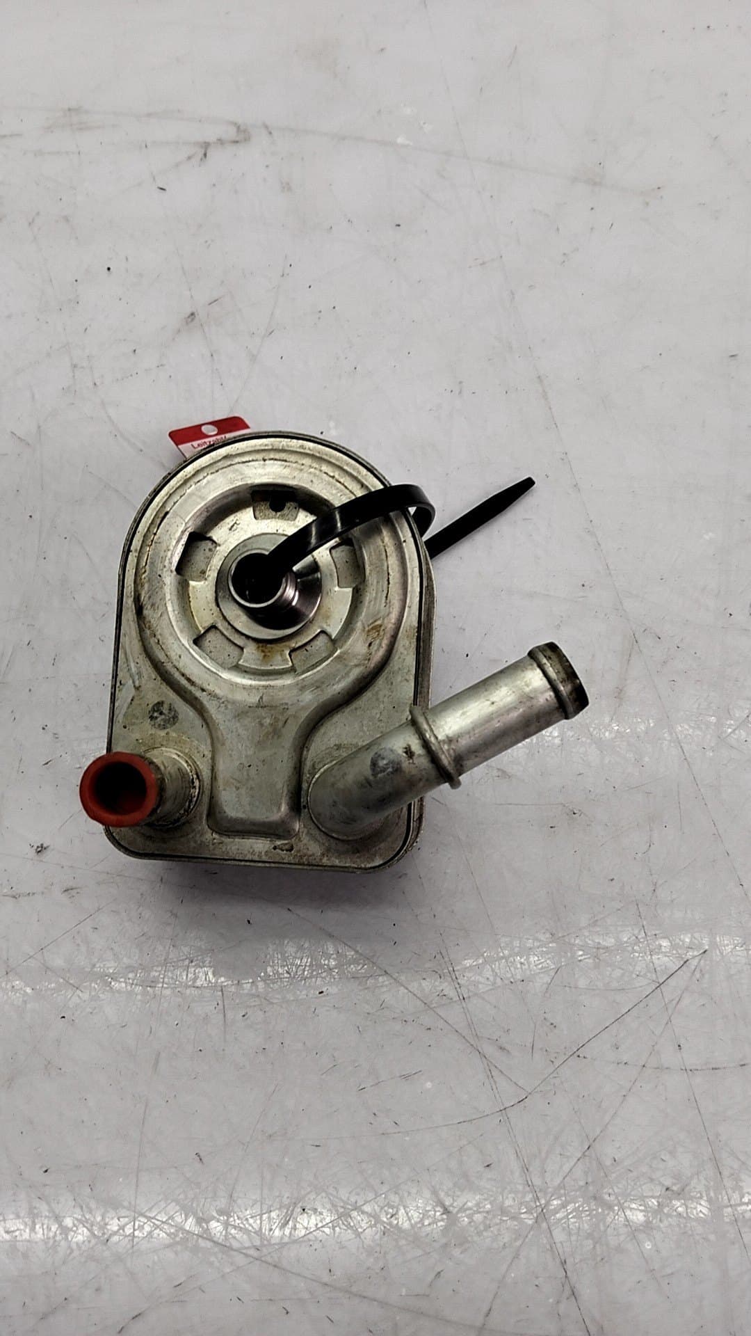 Radiador aceite FORD FOCUS 2