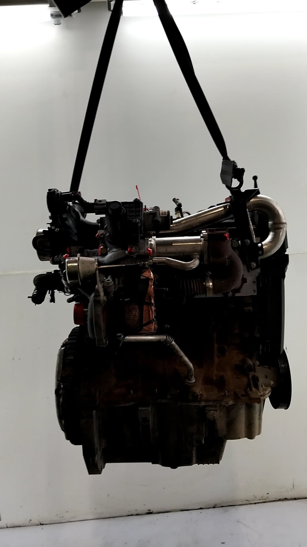 Motor completo RENAULT CLIO III 3