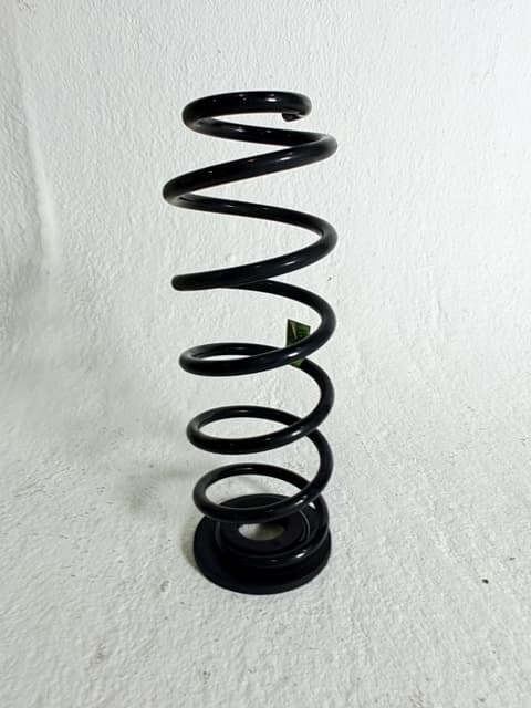 Muelles traseros KIA RIO