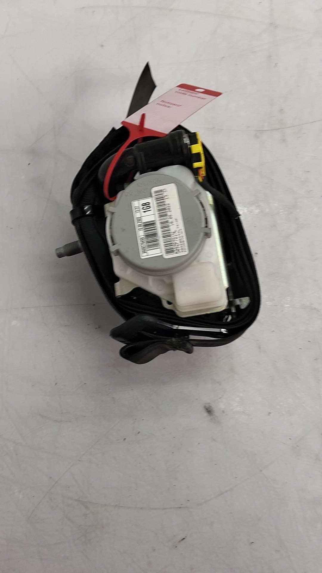 Cinturon seguridad delantero derecho CITROEN JUMPY SPACETOURER