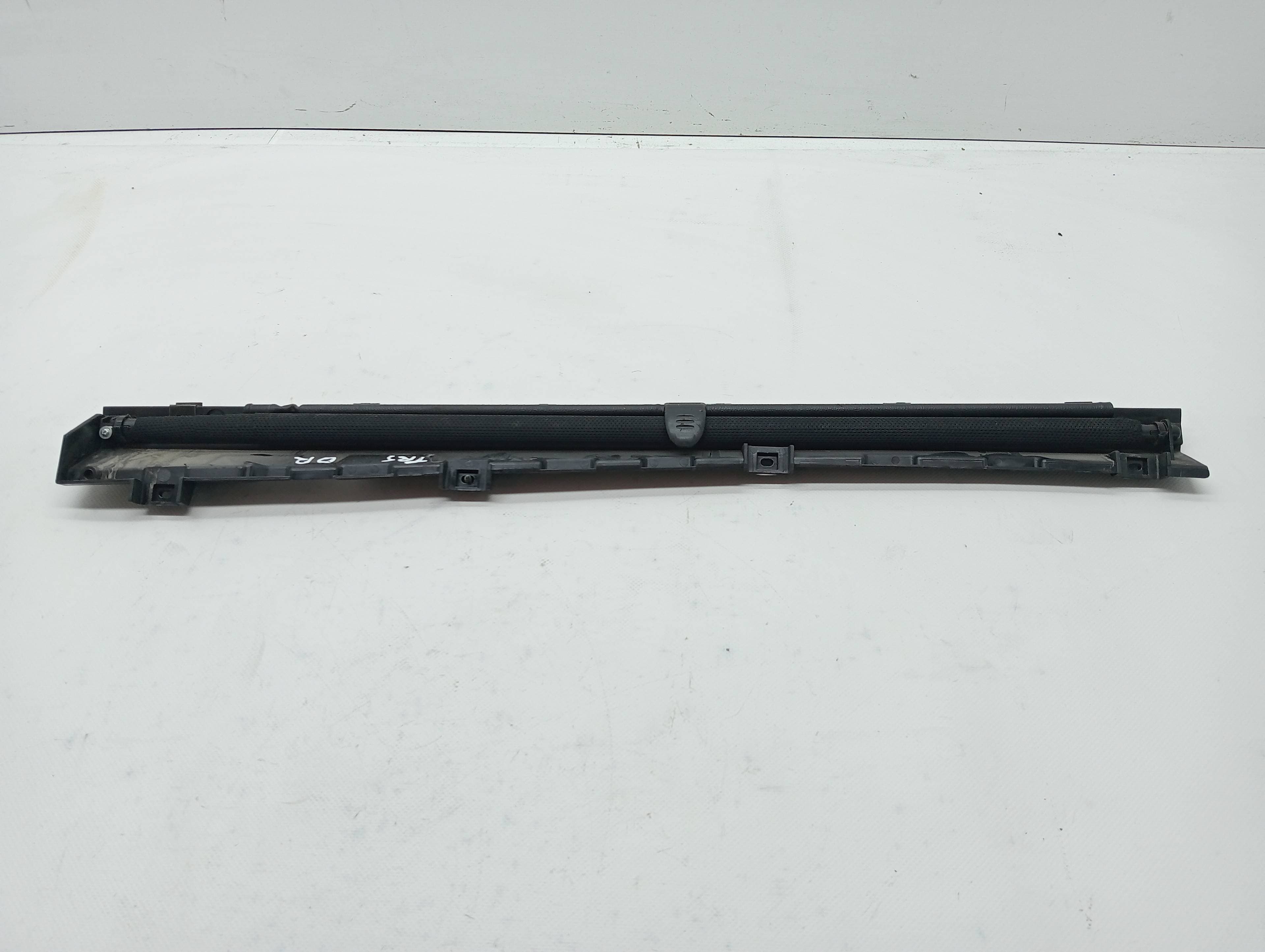 Plastico RENAULT SCENIC III 2