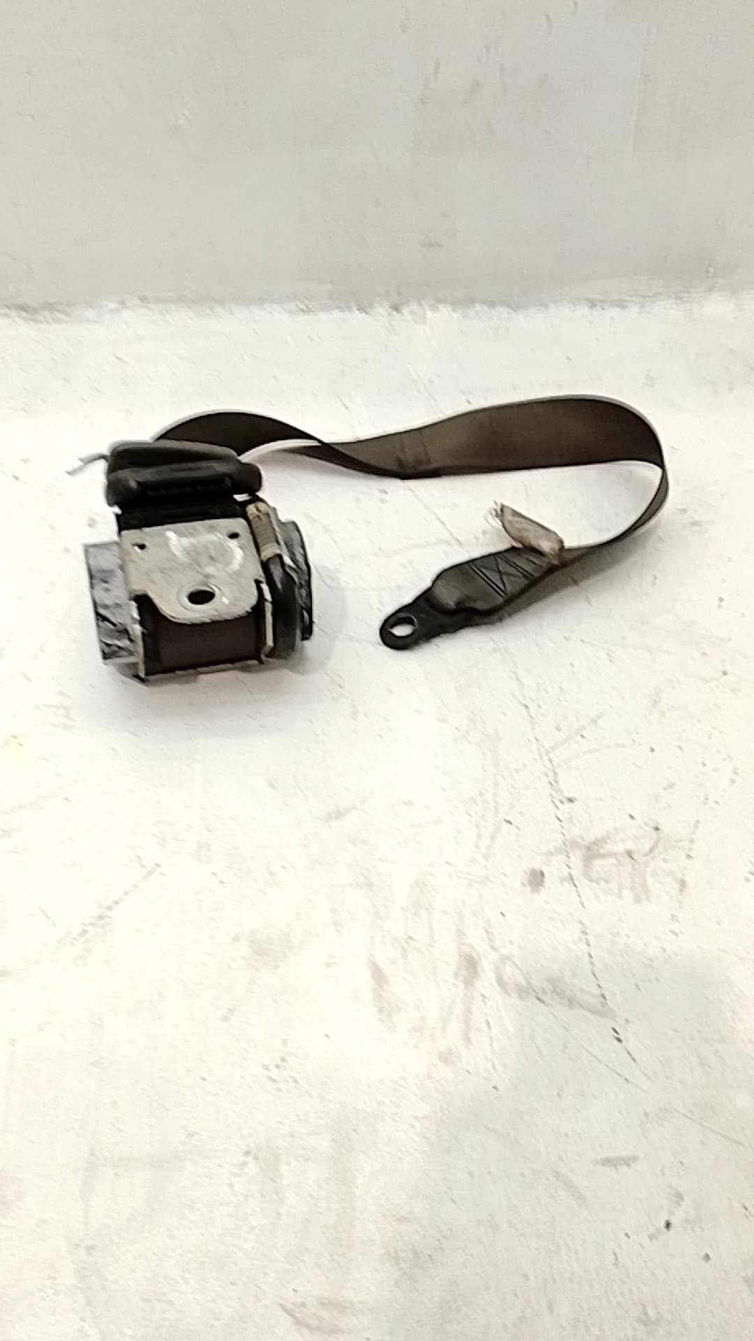 Cinturon seguridad delantero derecho JAGUAR X-TYPE