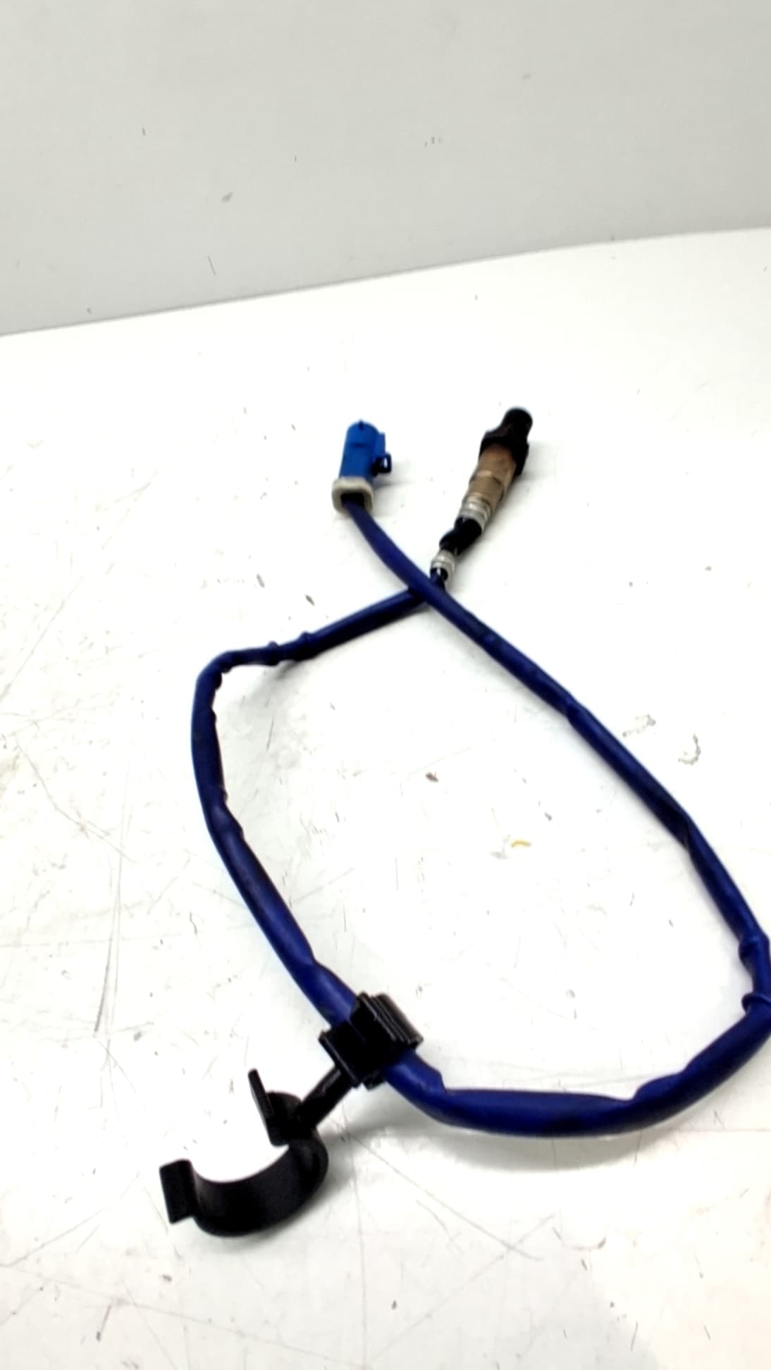 Sonda lambda FORD FOCUS