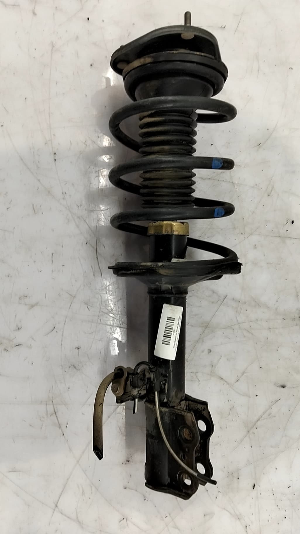 Amortiguador delantero izquierdo TOYOTA COROLLA (E12)