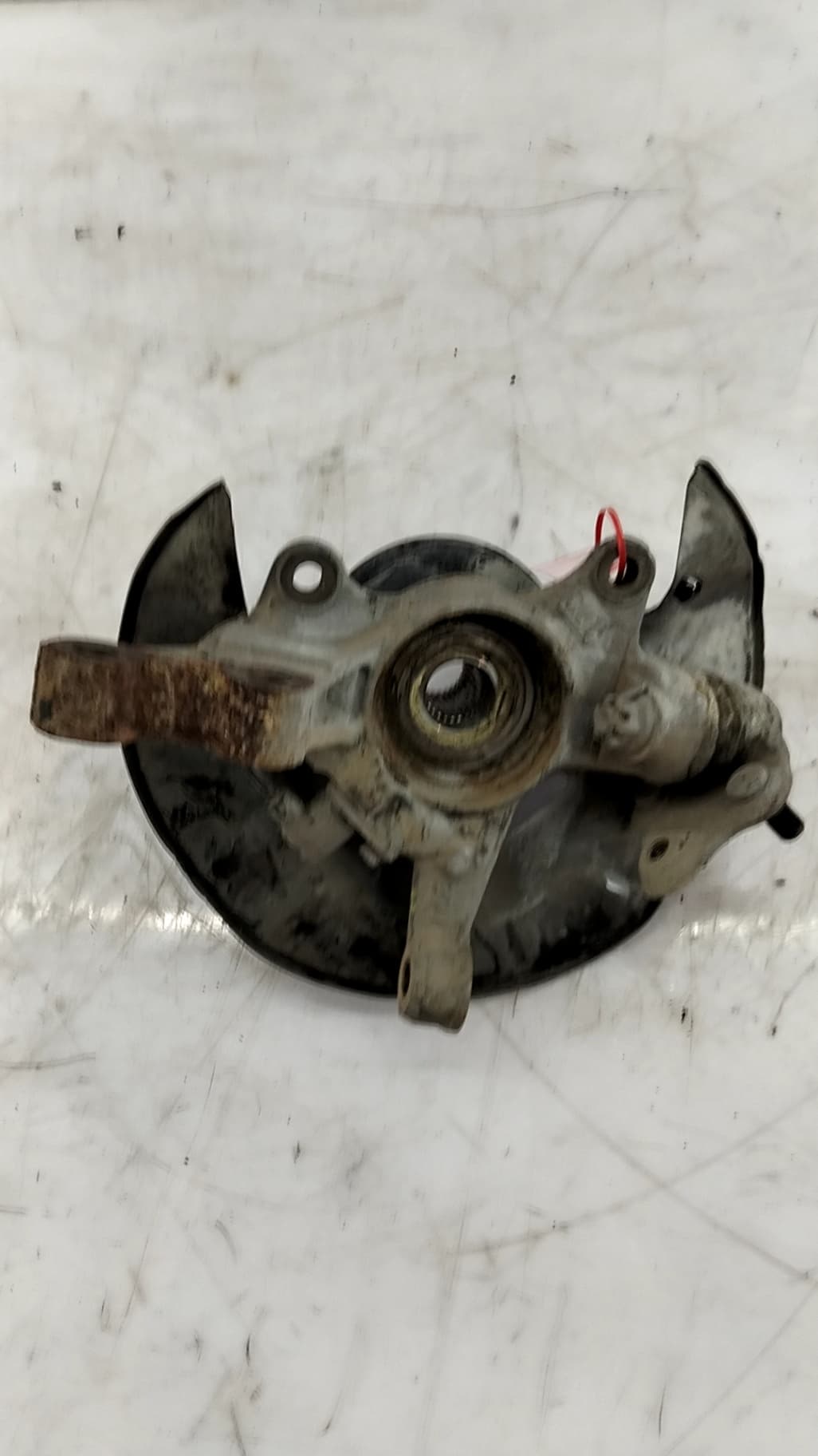 Mangueta delantera izquierda TOYOTA COROLLA (E12)