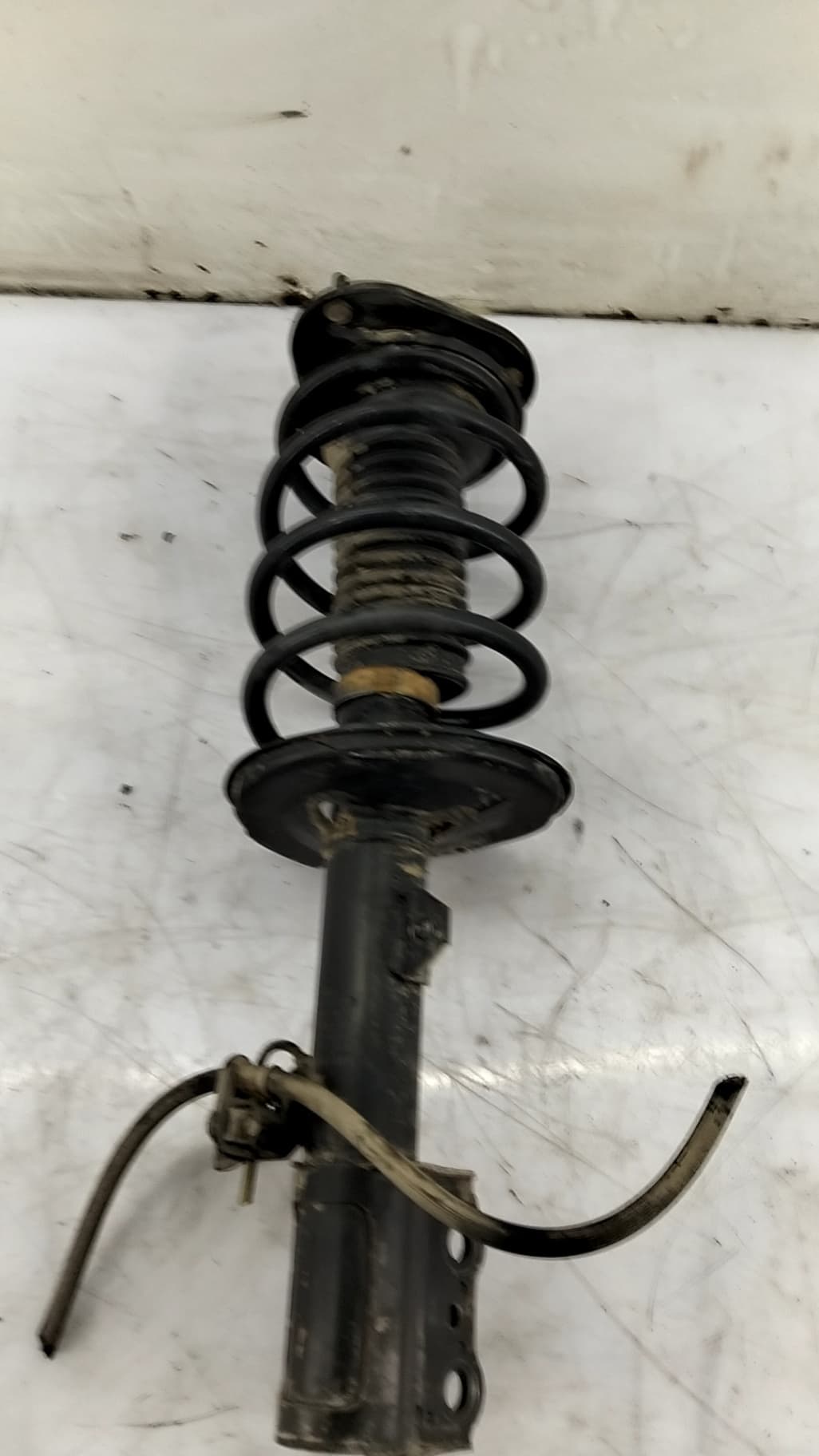 Amortiguador delantero derecho TOYOTA COROLLA (E12) 2