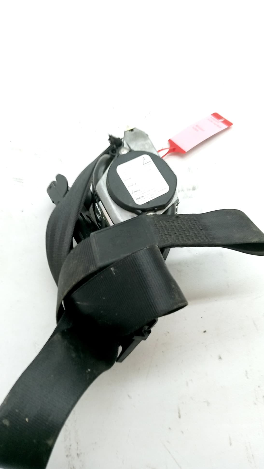 Cinturon seguridad delantero derecho AUDI A3 (8L) 2