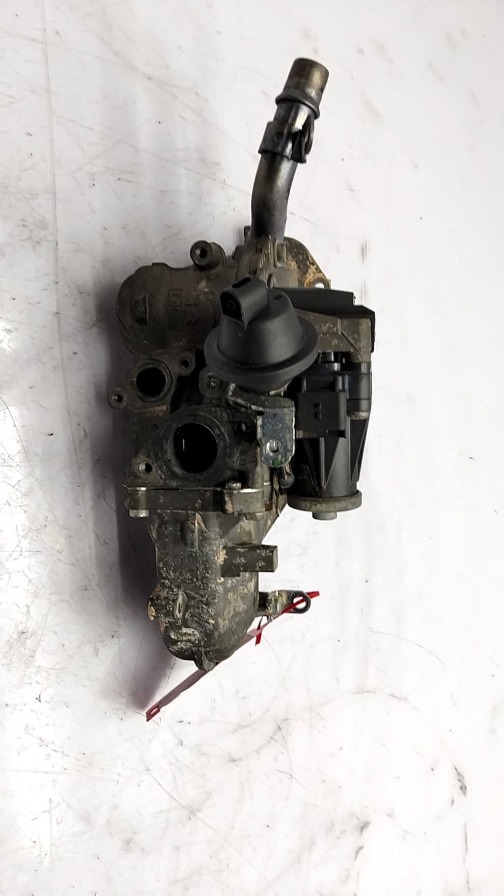 Valvula egr RENAULT KANGOO (KC0/1_) 2