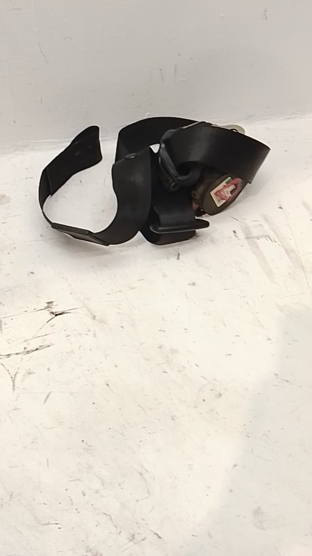 Cinturon seguridad delantero derecho AUDI A3 (8L)