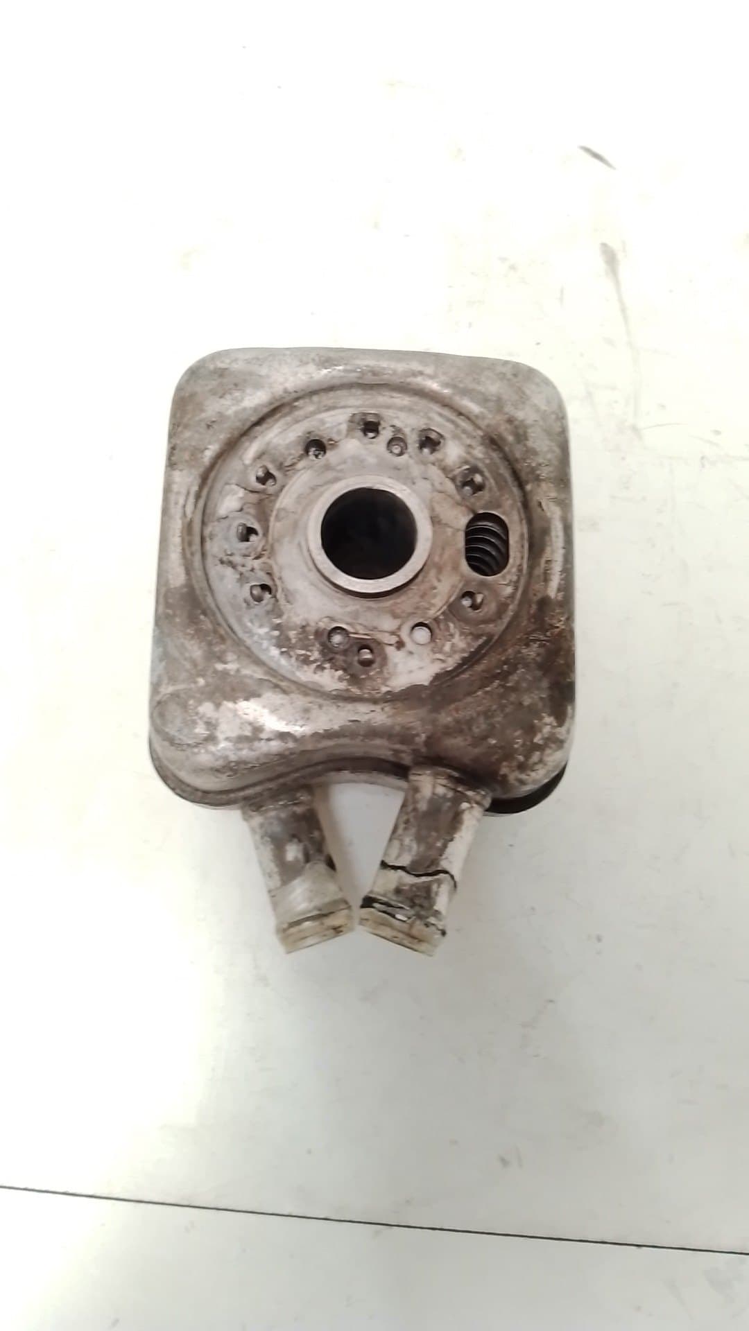 Radiador aceite SEAT IBIZA (6L1) 4