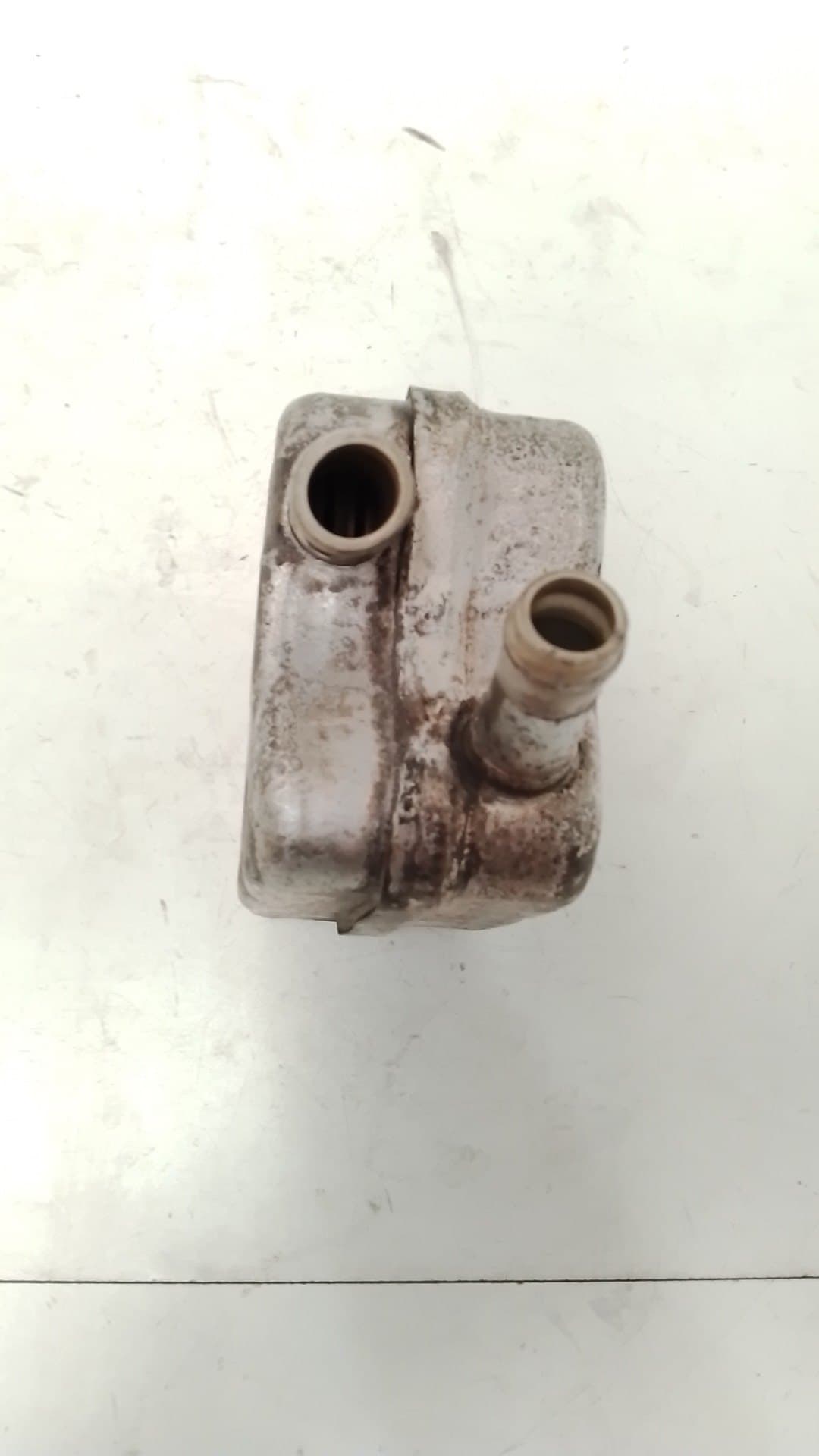 Radiador aceite SEAT IBIZA (6L1) 3