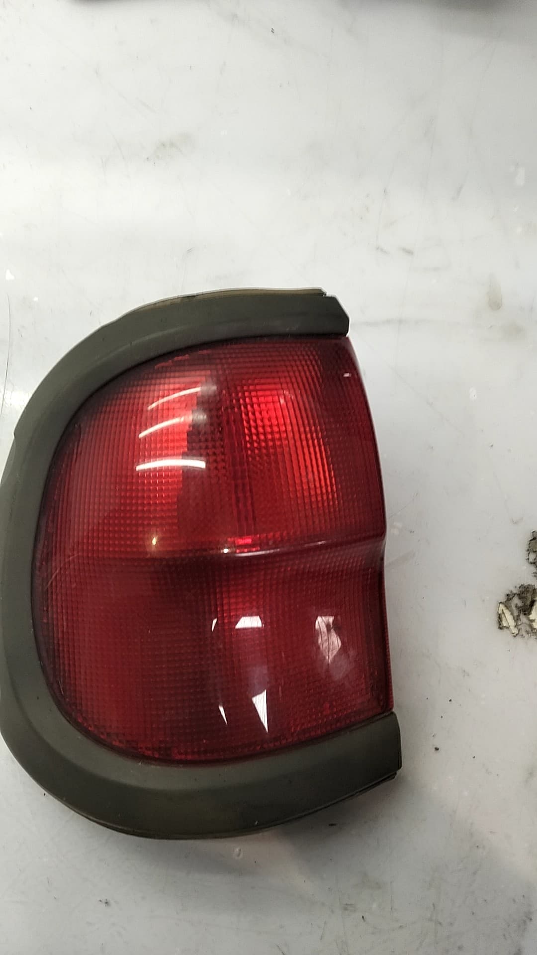 Piloto trasero izquierdo NISSAN TERRANO (WD21)