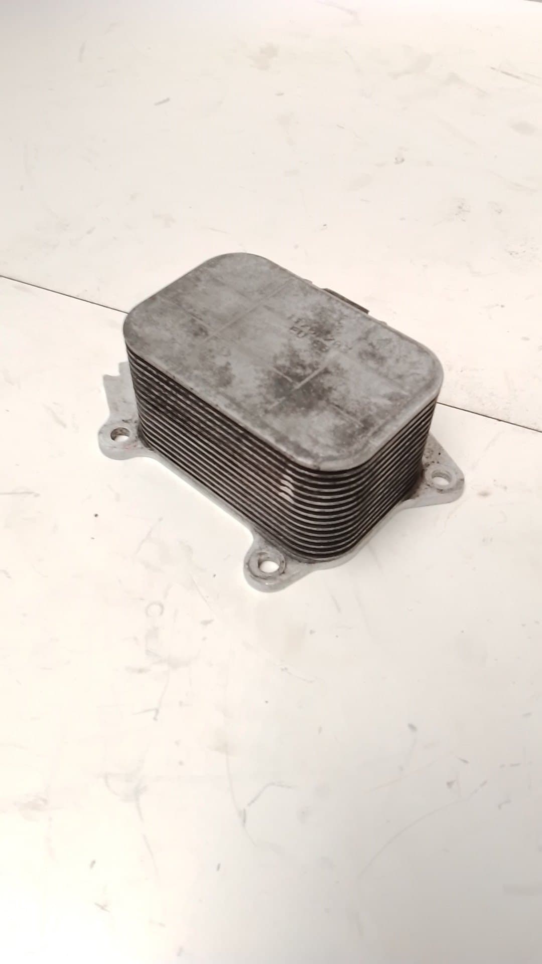 Radiador aceite FORD FOCUS C-MAX (CAP)