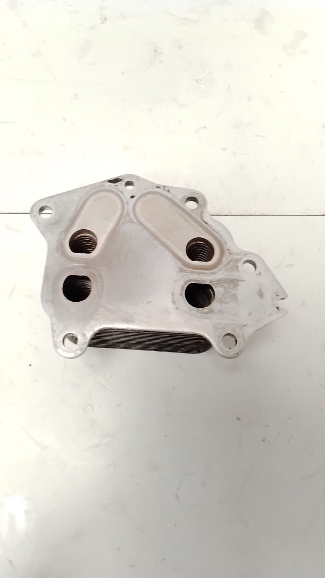 Radiador aceite FORD FOCUS C-MAX (CAP) 4