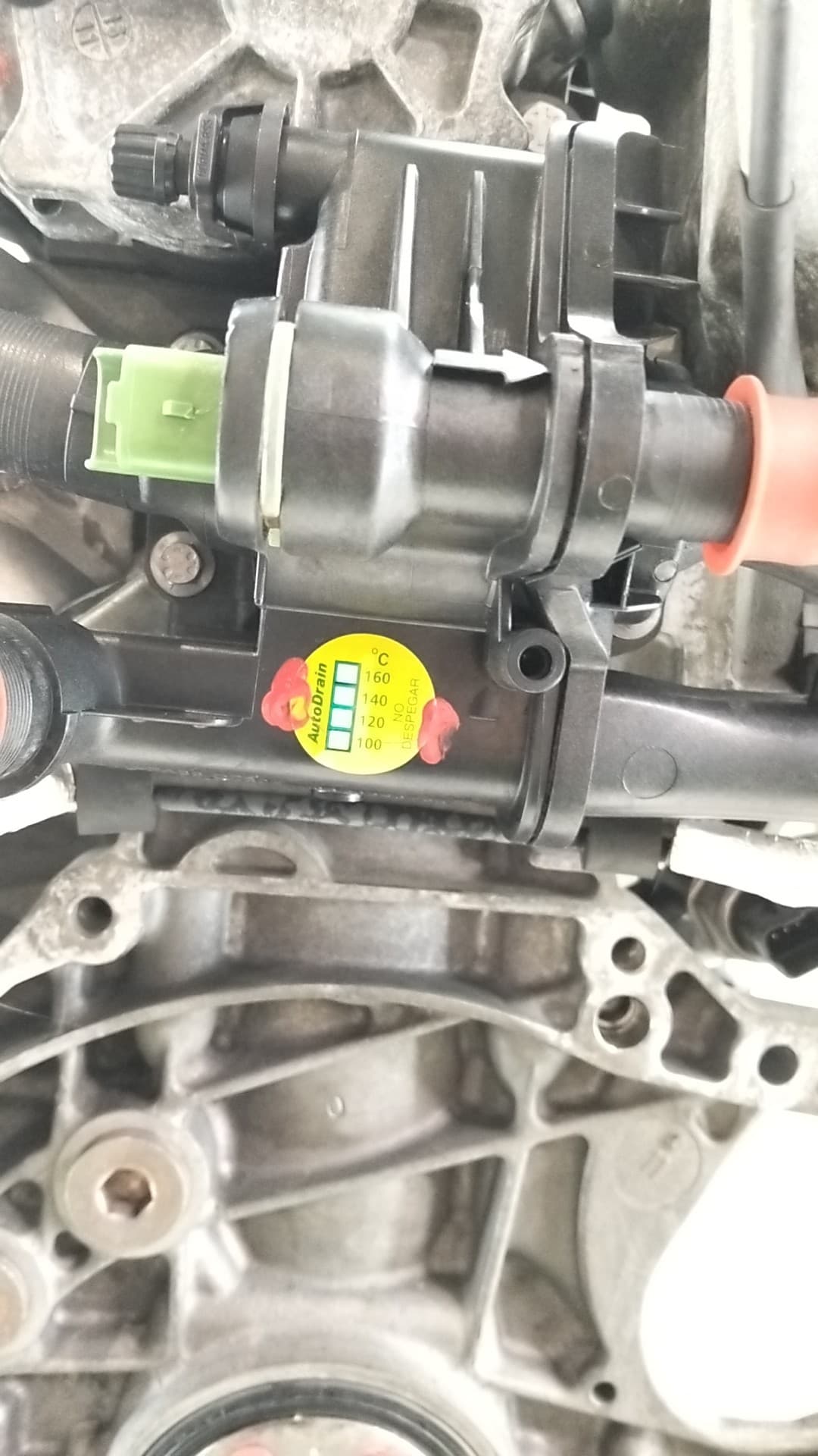 Motor completo FORD C-MAX 5