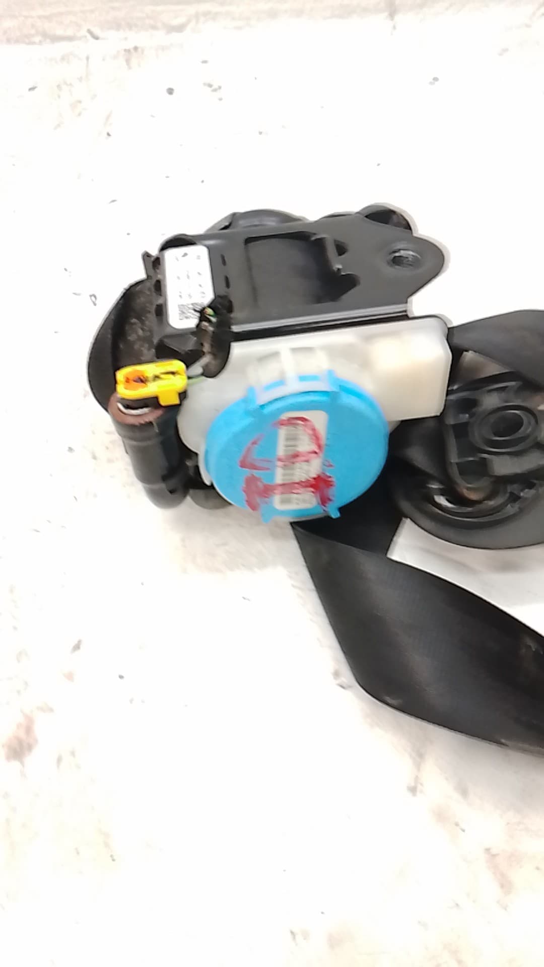 Cinturon seguridad delantero izquierdo AUDI Q3 (8U) 4
