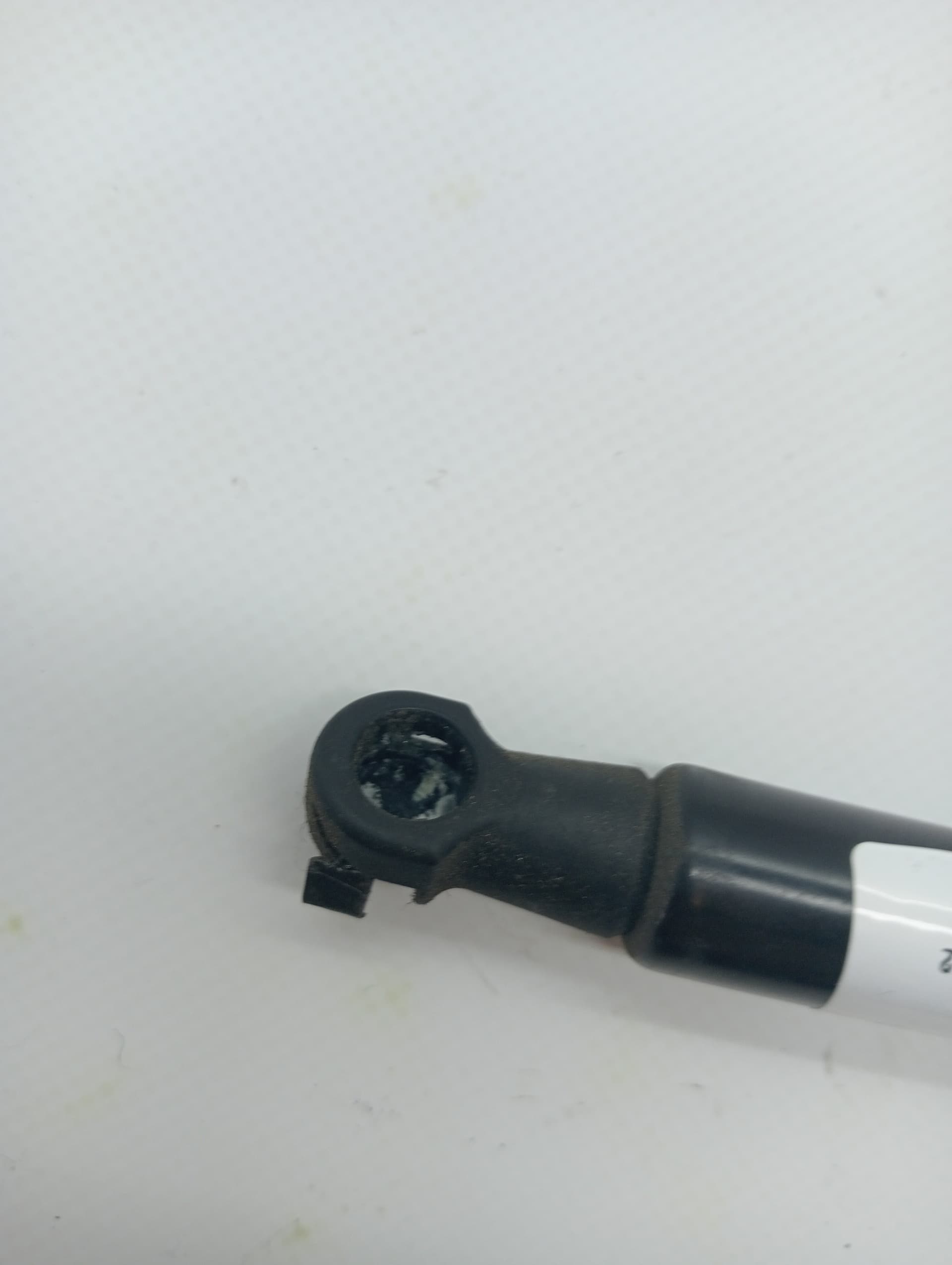 Amortiguadores maletero / porton FIAT PANDA (169) 3