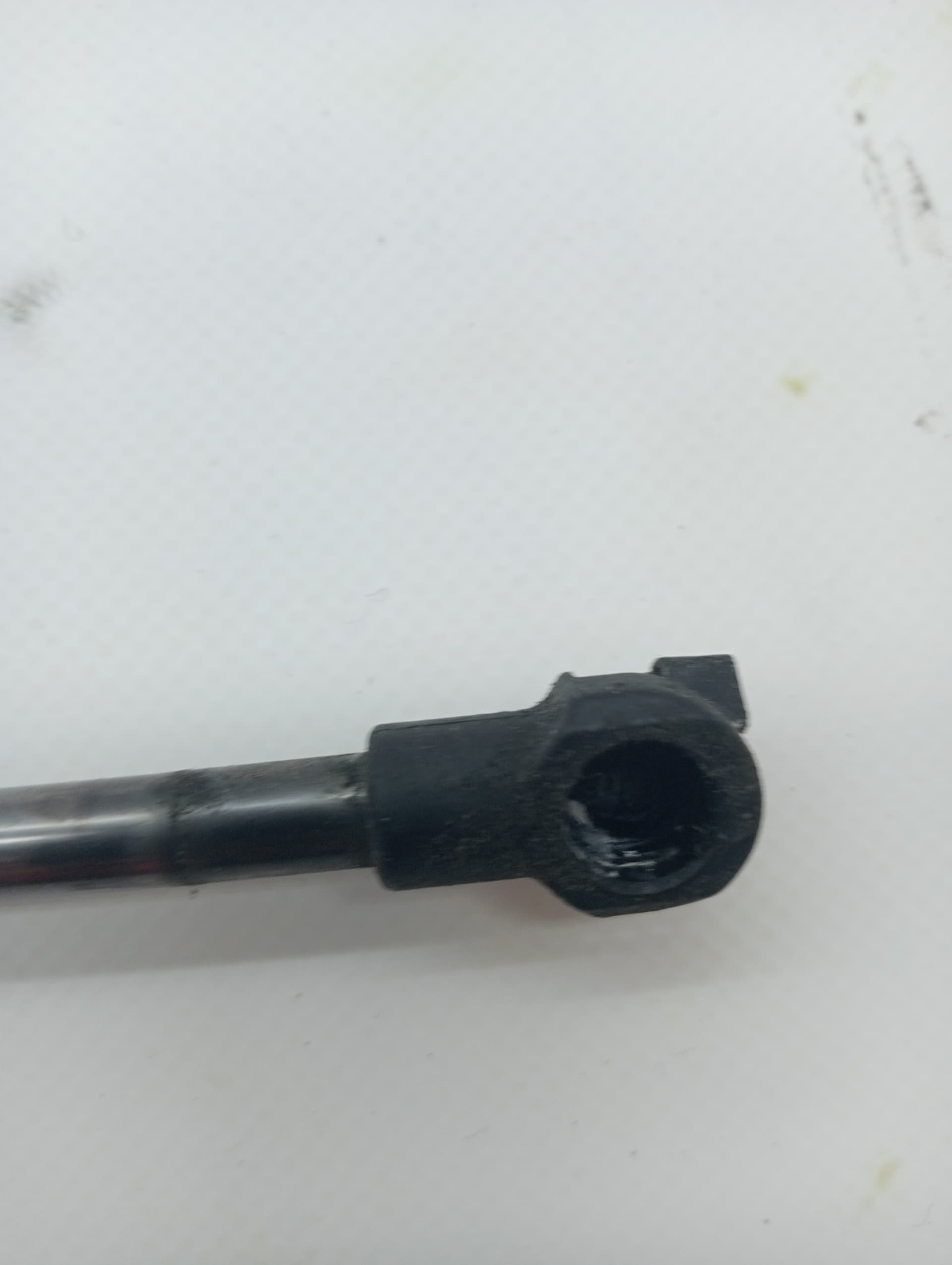 Amortiguadores maletero / porton FIAT PANDA (169) 2