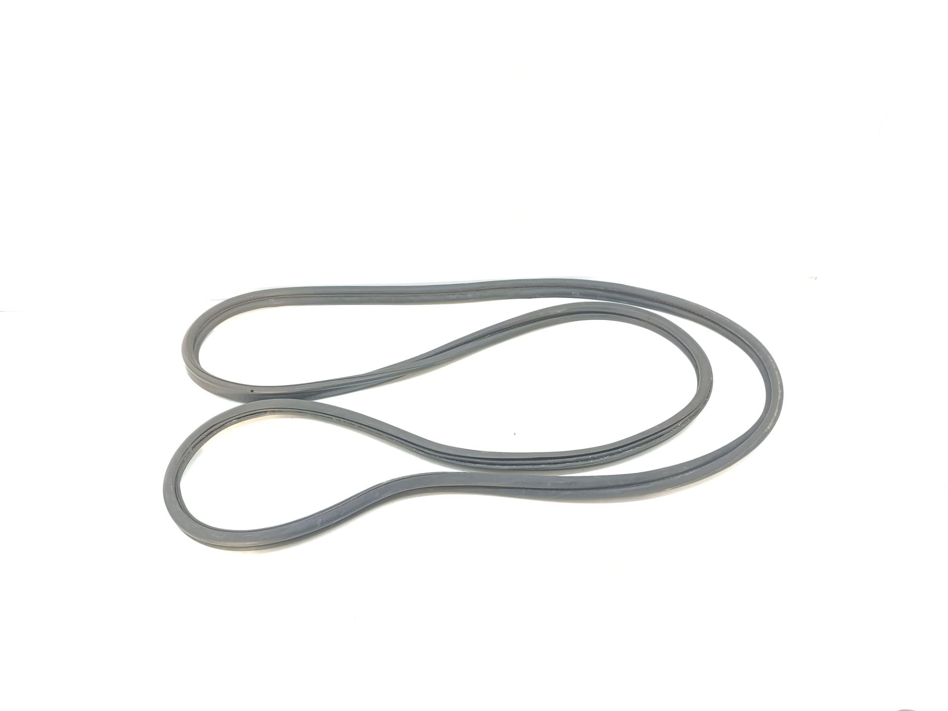Gomas contorno puerta BMW X1 (E84)