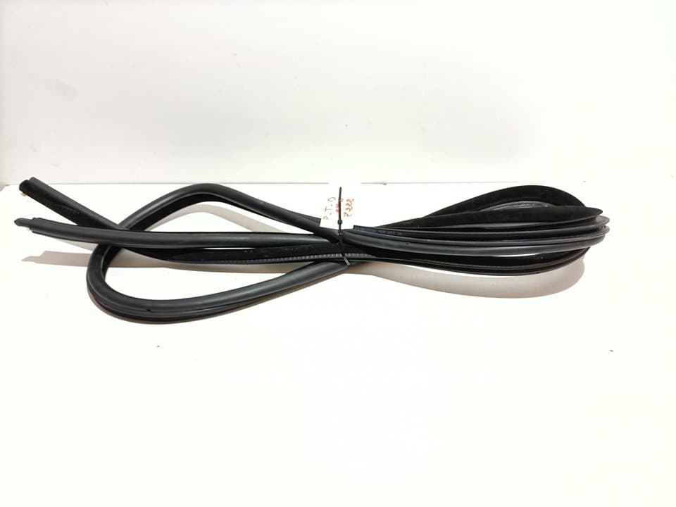 Gomas contorno puerta BMW SERIE 5 BERLINA (E60)