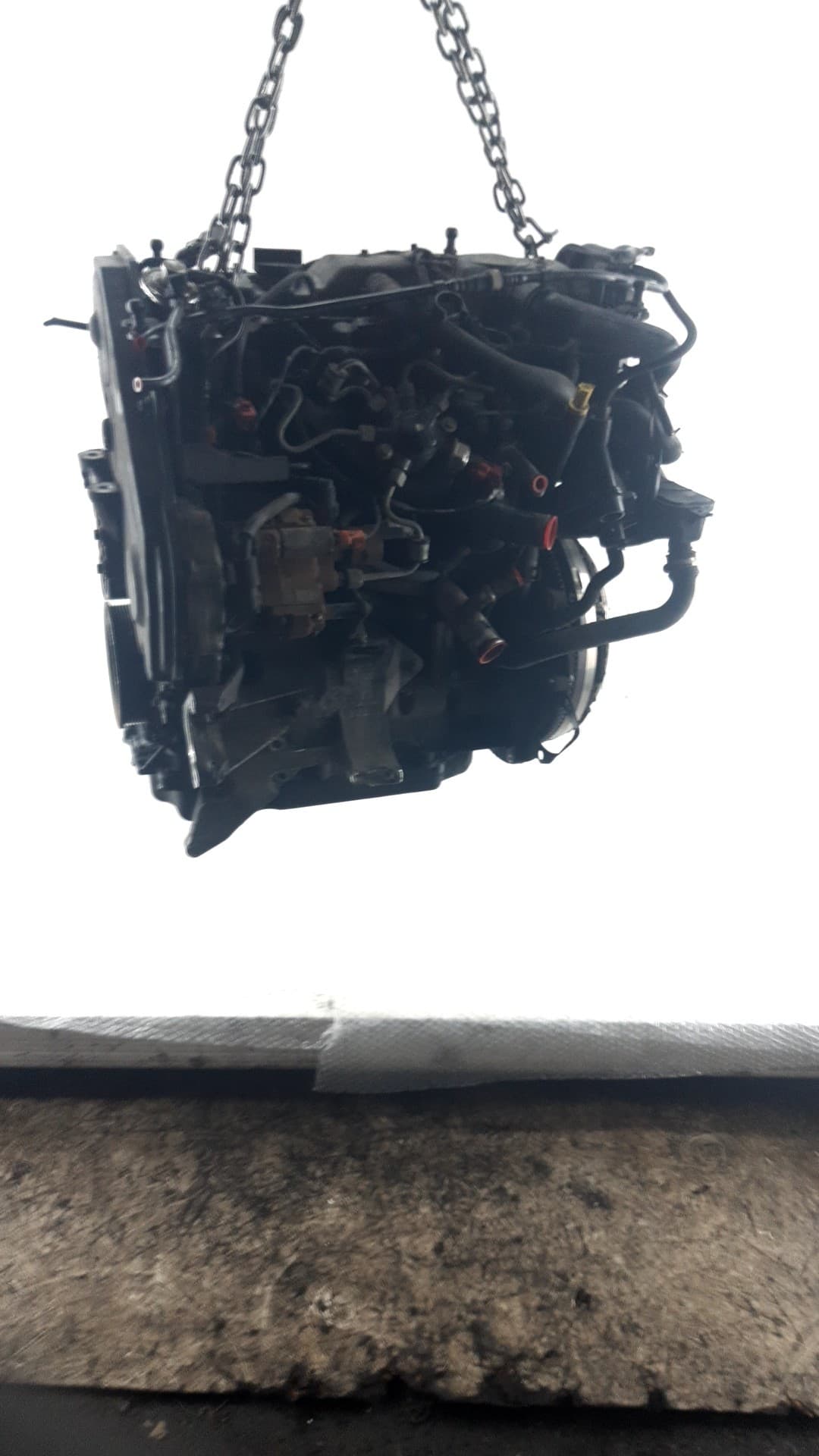 Motor completo FORD FOCUS BERLINA (CAP) 5