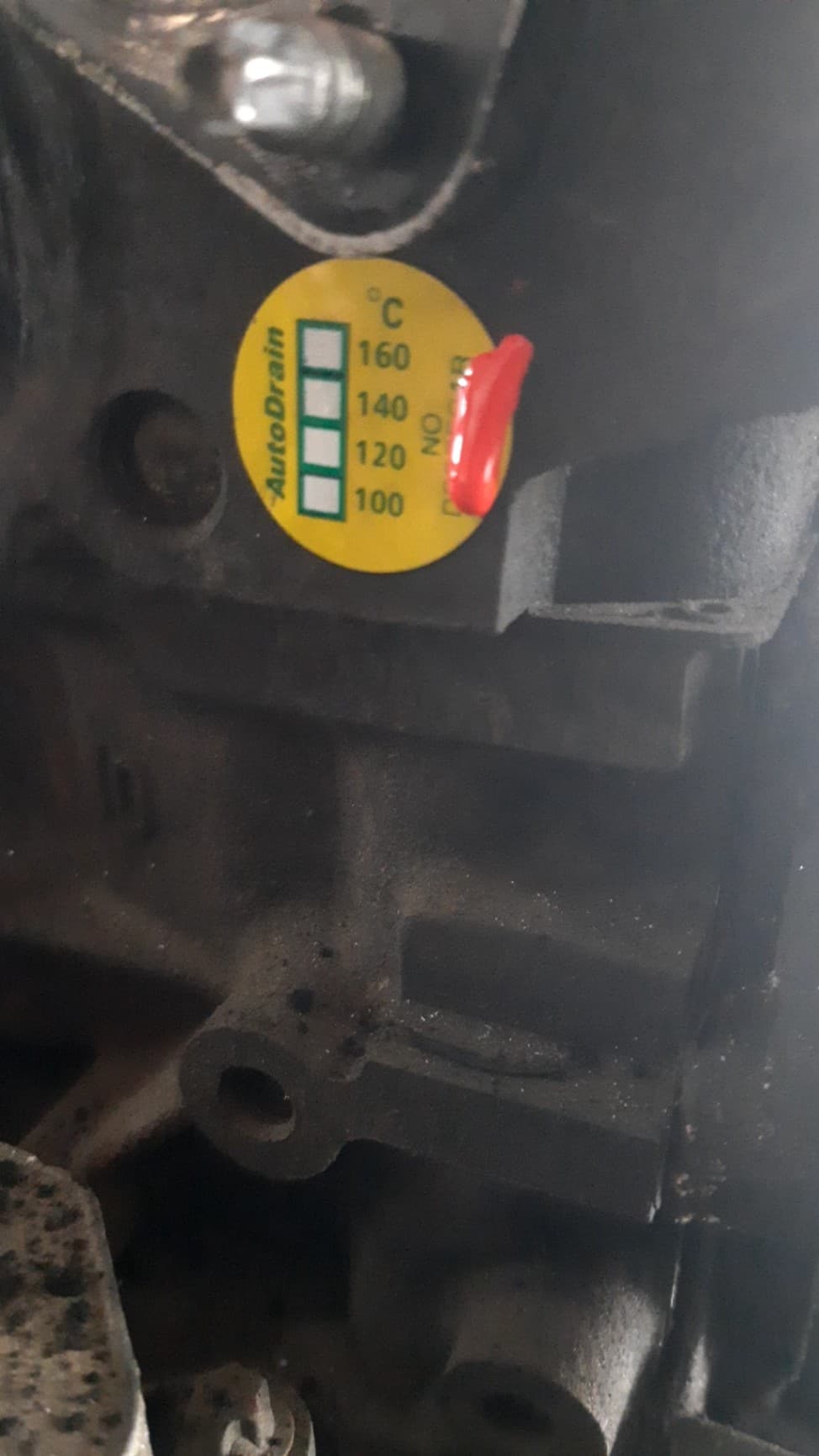 Motor completo FORD FOCUS BERLINA (CAP) 2