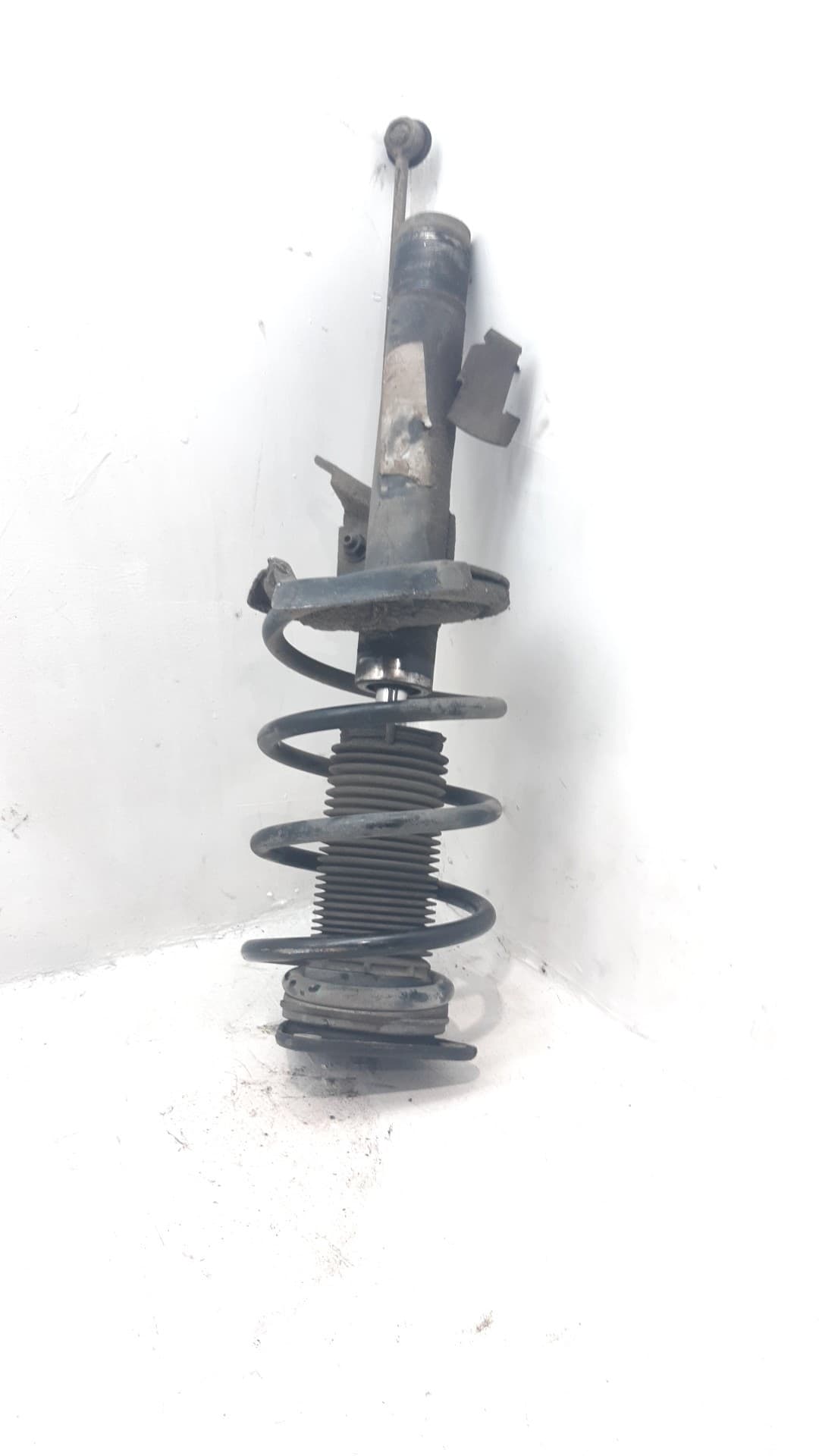 Amortiguador delantero derecho FORD FOCUS BERLINA (CAP)