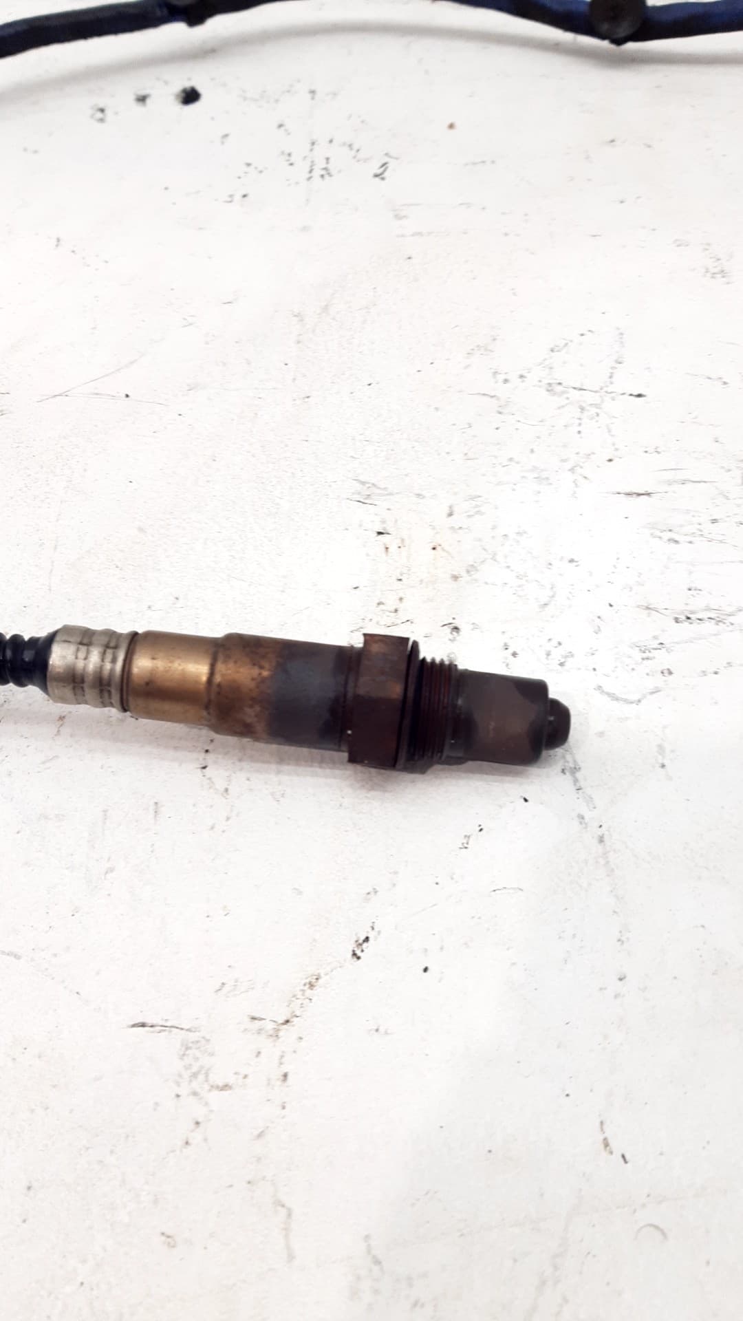 Sonda lambda TATA INDICA 3