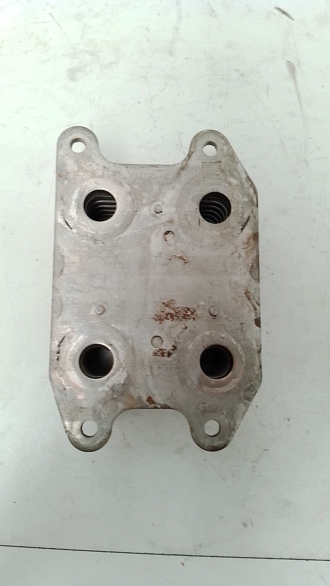 Radiador aceite SEAT LEON ST (5F8) 4