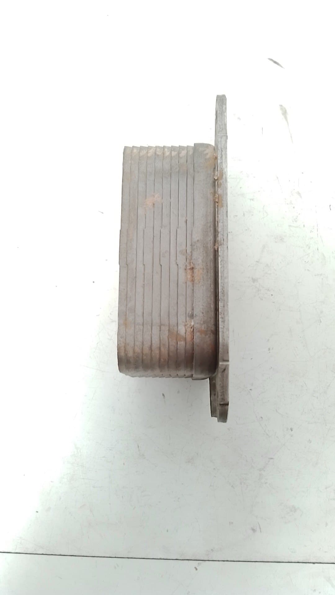 Radiador aceite SEAT LEON ST (5F8) 3