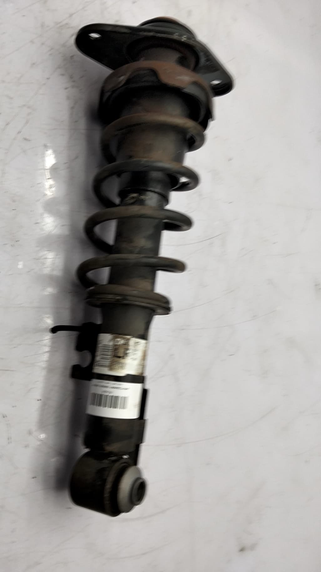 Amortiguador trasero derecho MINI (R56)