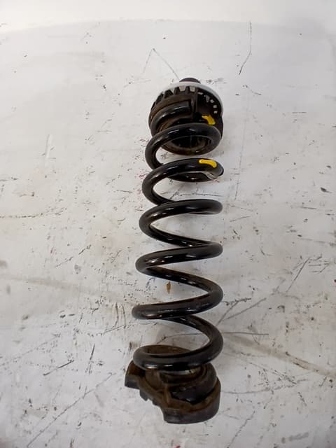 Muelle amortiguacion BMW Z4 ROADSTER (E89) 2