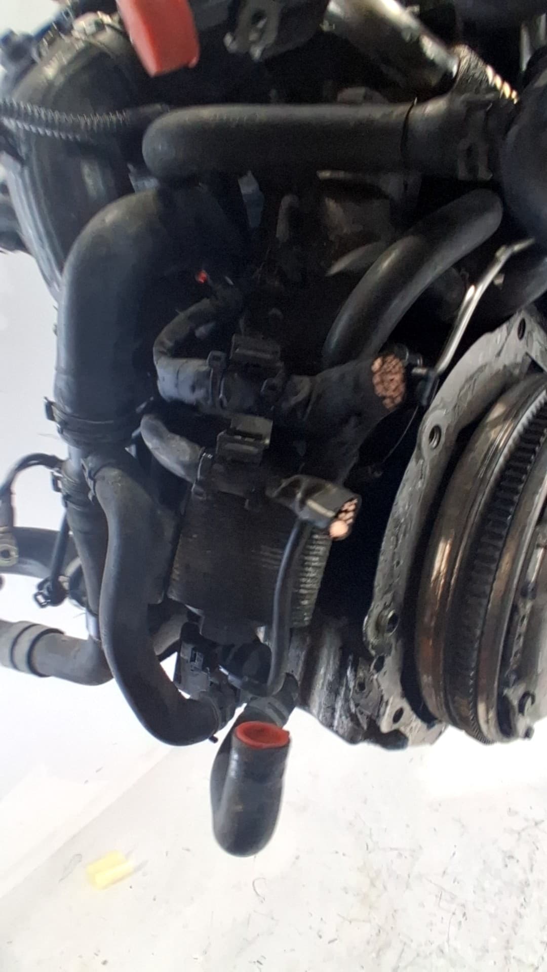 Motor completo VOLKSWAGEN GOLF VI (5K1) 5