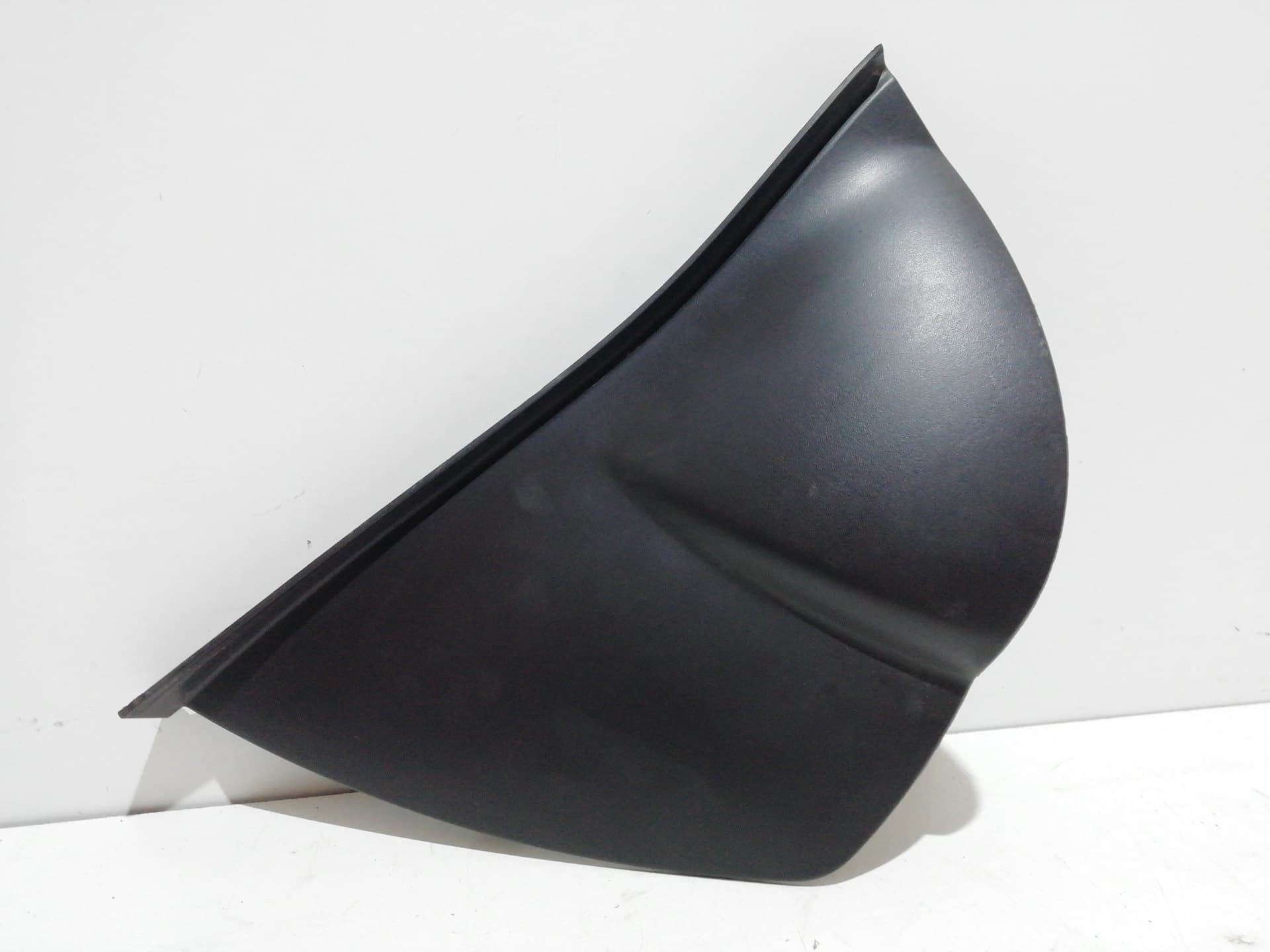 Plastico RENAULT CLIO IV