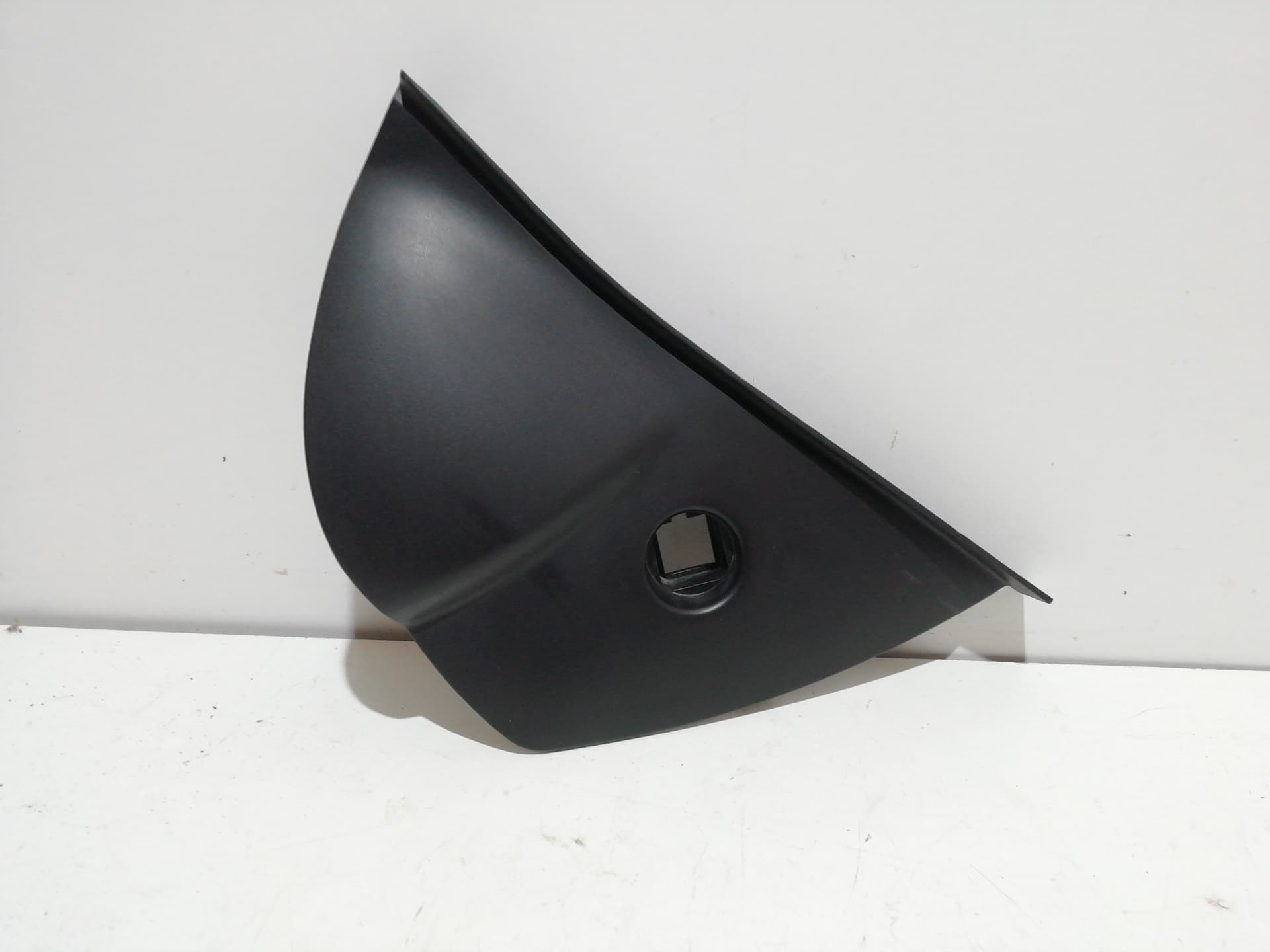 Plastico RENAULT CLIO IV