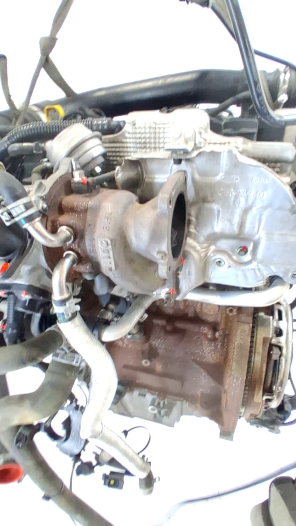 Motor completo FORD TRANSIT COURIER 5