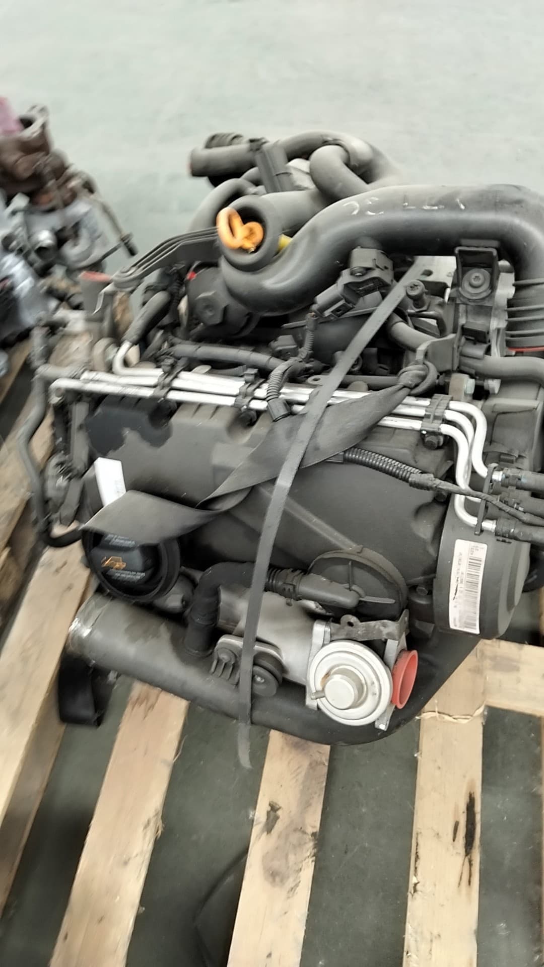 Motor completo VOLKSWAGEN GOLF V (1K1) 4