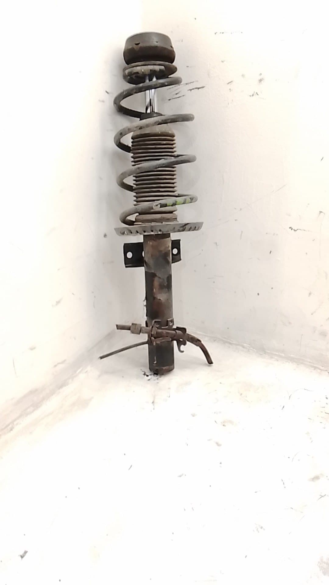 Amortiguador delantero derecho VOLKSWAGEN POLO (6R1)