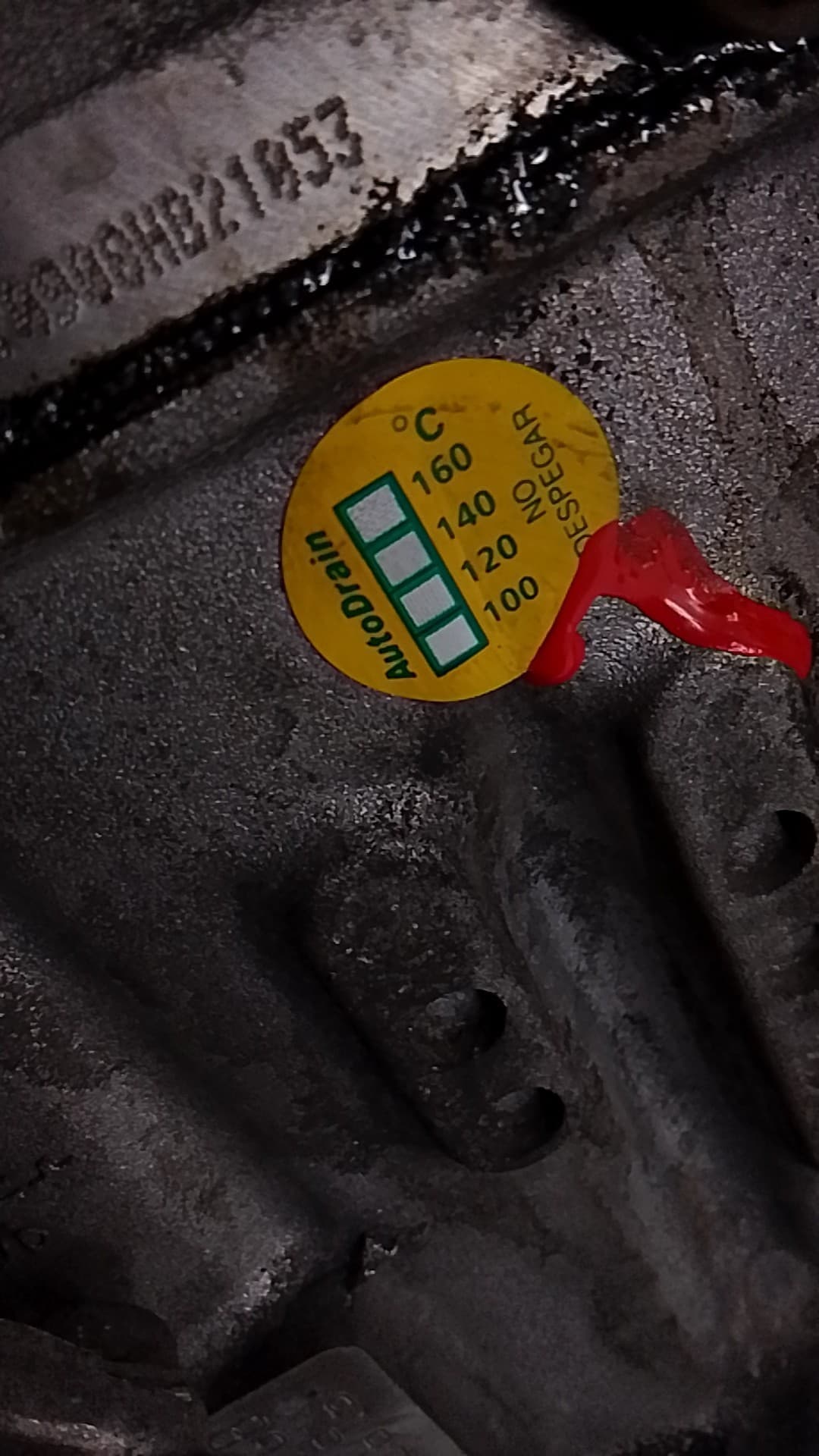 Motor completo FORD FOCUS SPORTBREAK (CAP) 2