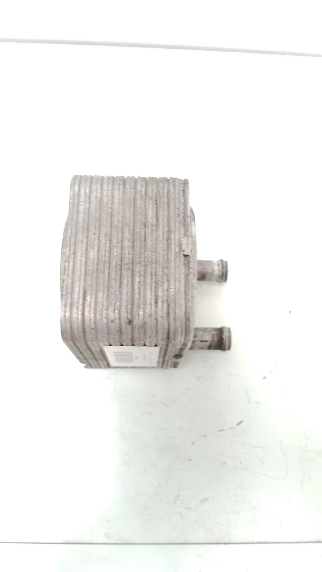 Radiador aceite VOLKSWAGEN PASSAT CC (357) 5
