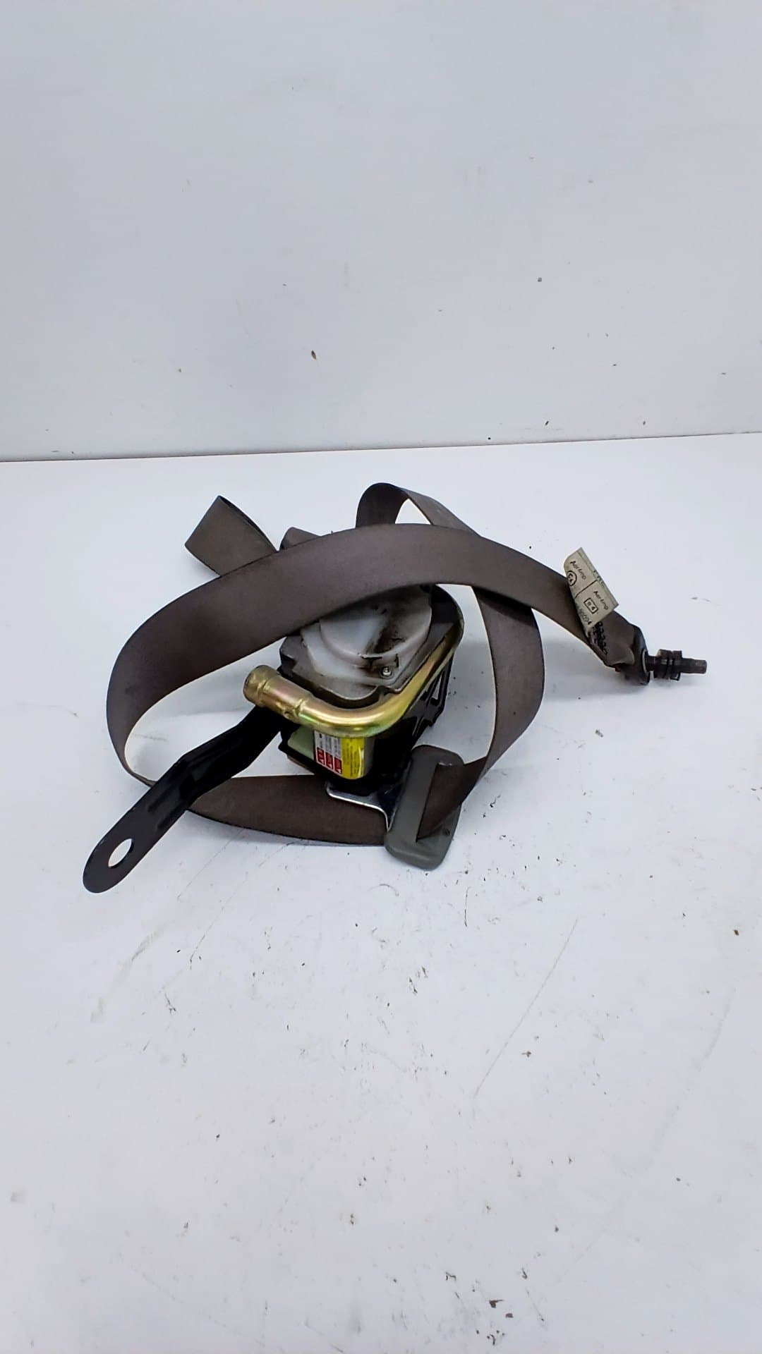 Cinturon seguridad delantero derecho NISSAN X-TRAIL (T30)