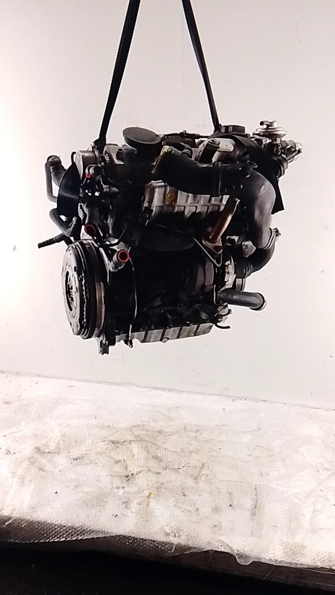 Motor completo SEAT LEON (1M1)