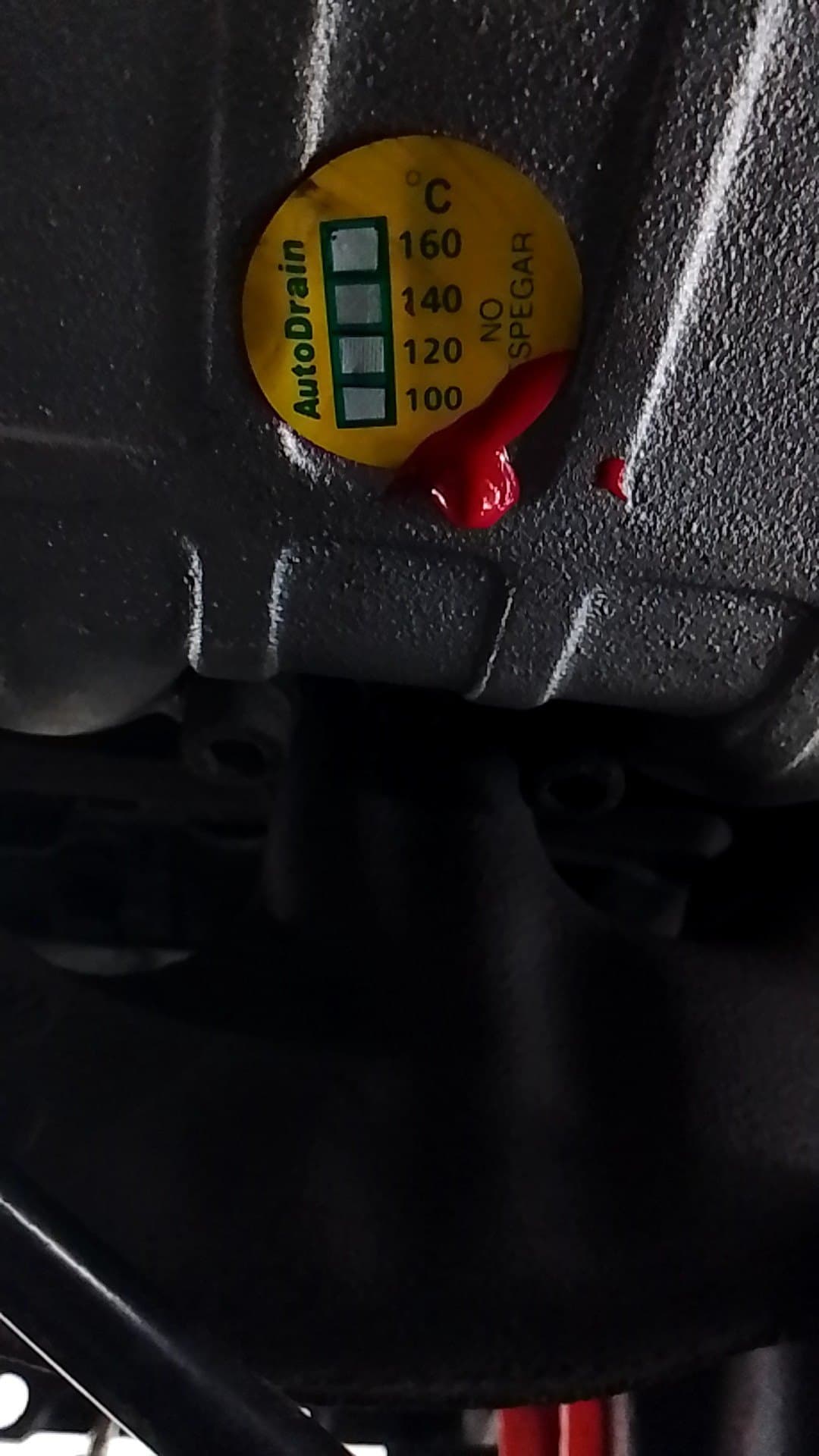 Motor completo SEAT LEON (1M1) 2
