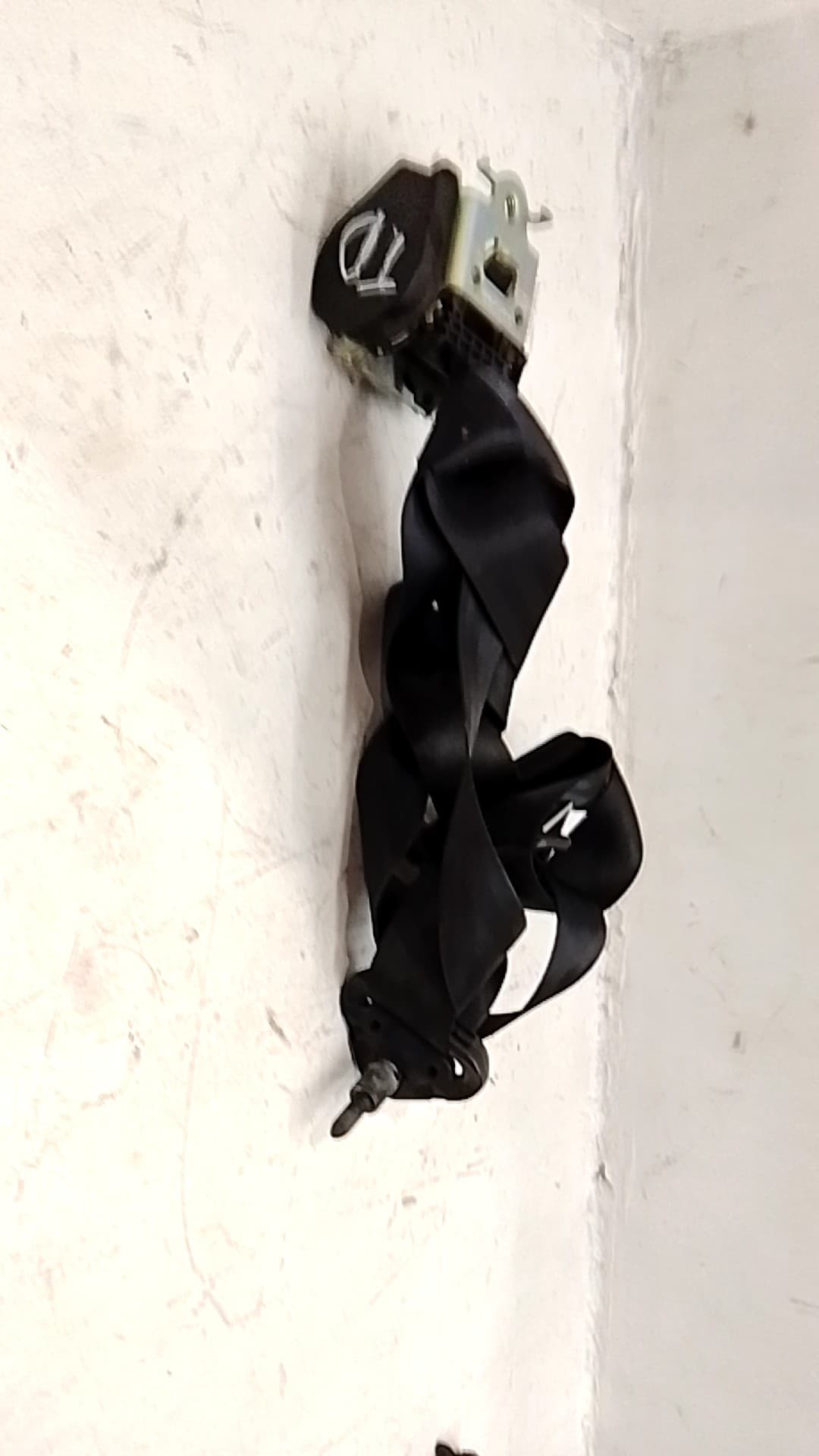 Cinturon seguridad trasero derecho DACIA LODGY