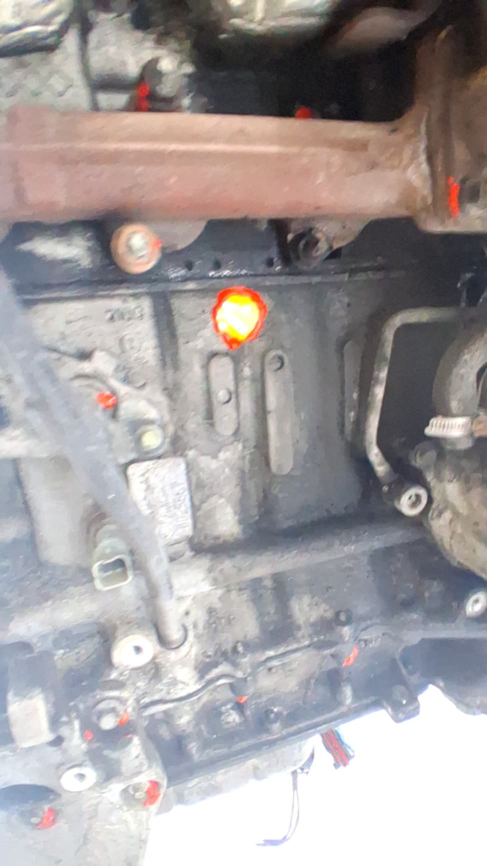 Motor completo FORD FOCUS BERLINA (CAP) 3
