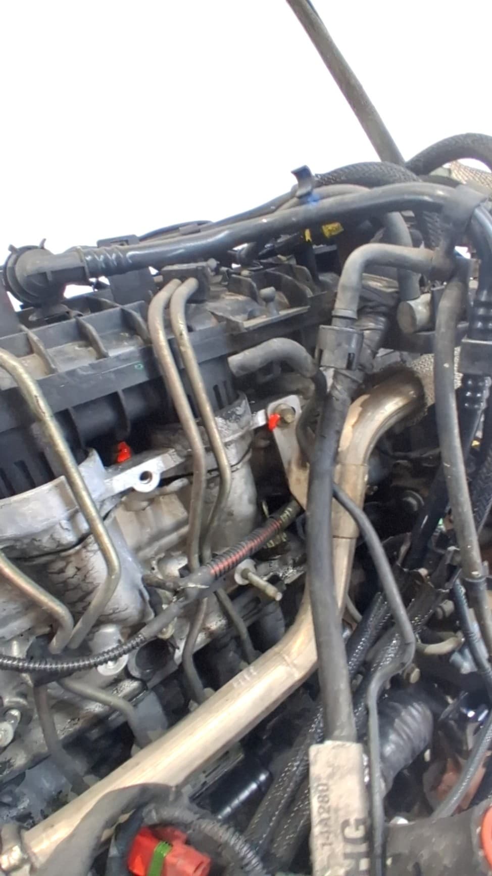 Motor completo FORD FOCUS BERLINA (CAP) 5