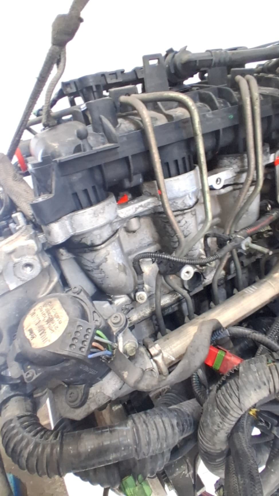 Motor completo FORD FOCUS BERLINA (CAP) 4