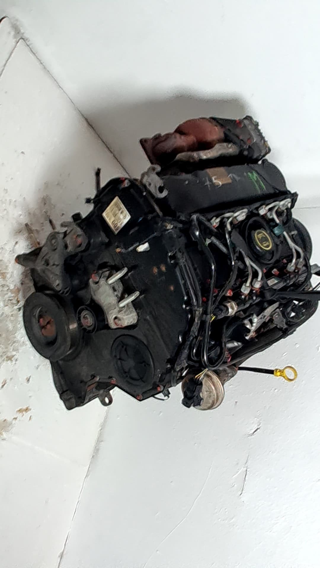 Motor completo FORD MONDEO III (B5Y)