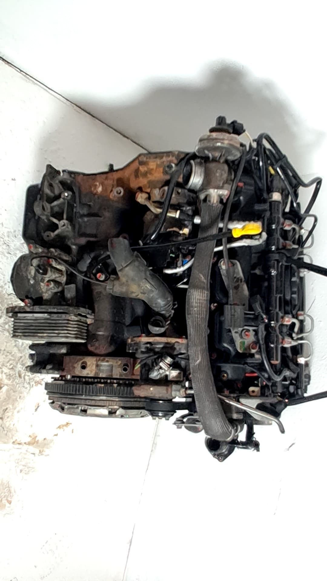 Motor completo FORD MONDEO III (B5Y) 3