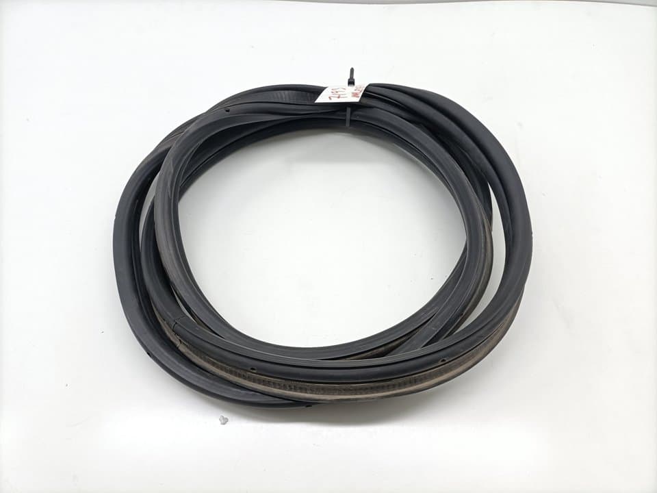 Gomas contorno puerta RENAULT FLUENCE